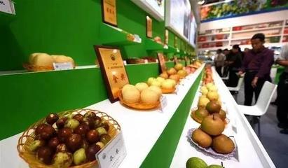 祁陽首屆油菜花節(jié)暨農(nóng)副產(chǎn)品交易會邀您共賞春光，樂享田園盛宴