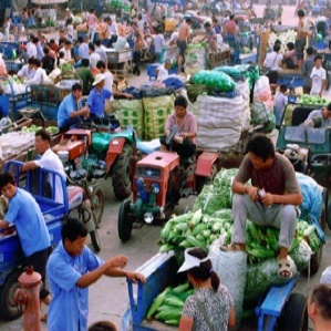 上海浦南農副產品批發(fā)市場 都市的“綠色心臟”與百姓的“菜籃子”