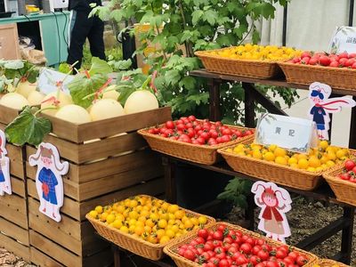 品蔬果、釣龍蝦…玩轉四季嘉年華 桐鄉(xiāng)鄉(xiāng)村振興的田園交響曲